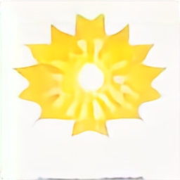 a star icon, yellow star vector graphic